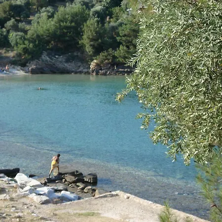 Kallisti *