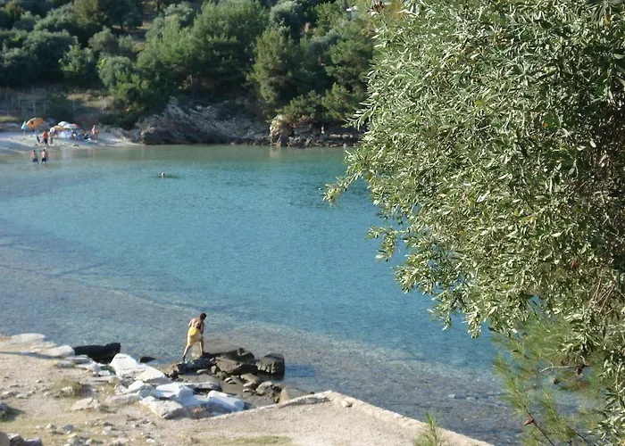 Kallisti *